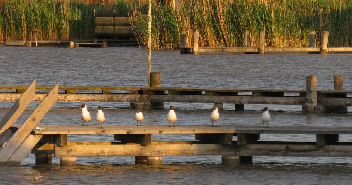 architektur in progress "Lichtblicke"