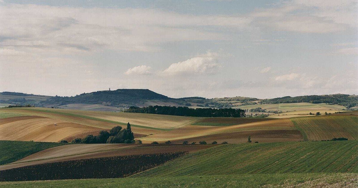Ausstellung: Zur Landschaft