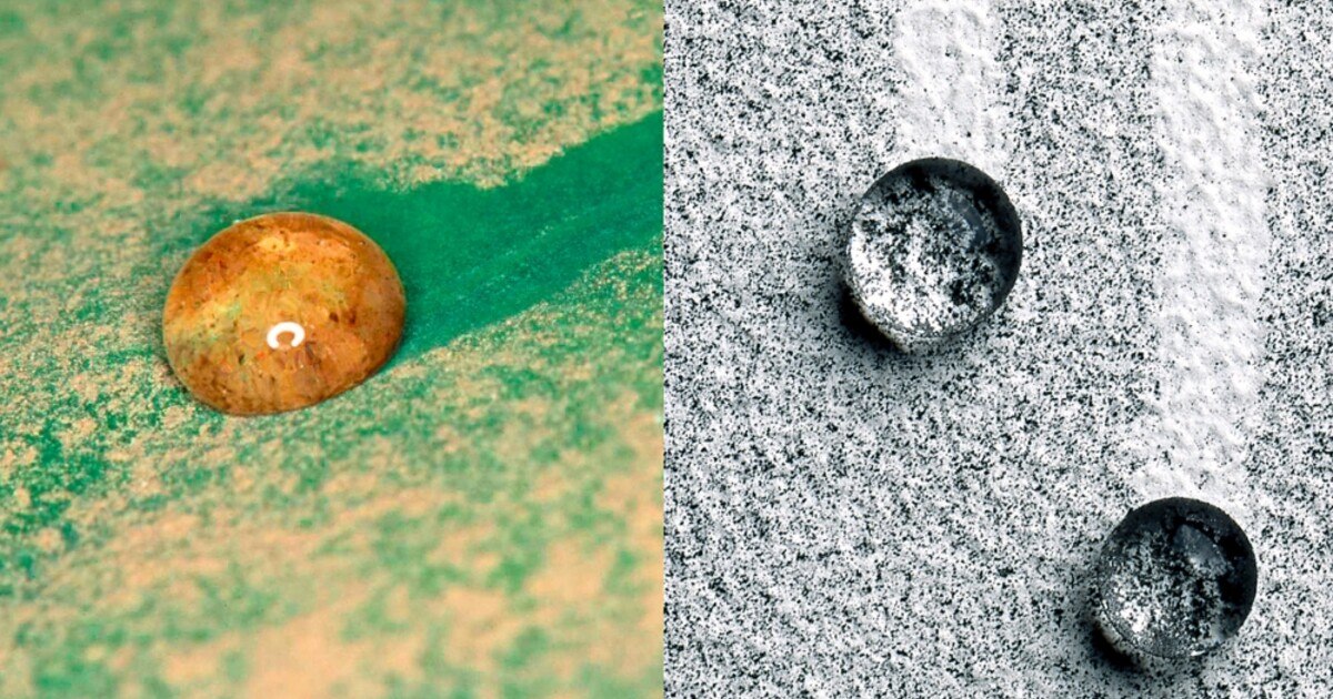 Lotus-Effekt &amp; Co.: 20 Jahre bionische Bauprodukte