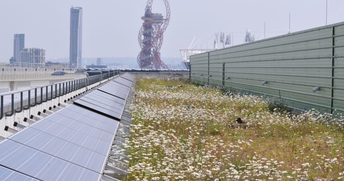 Dachbegrünung – wohin geht der Weg?