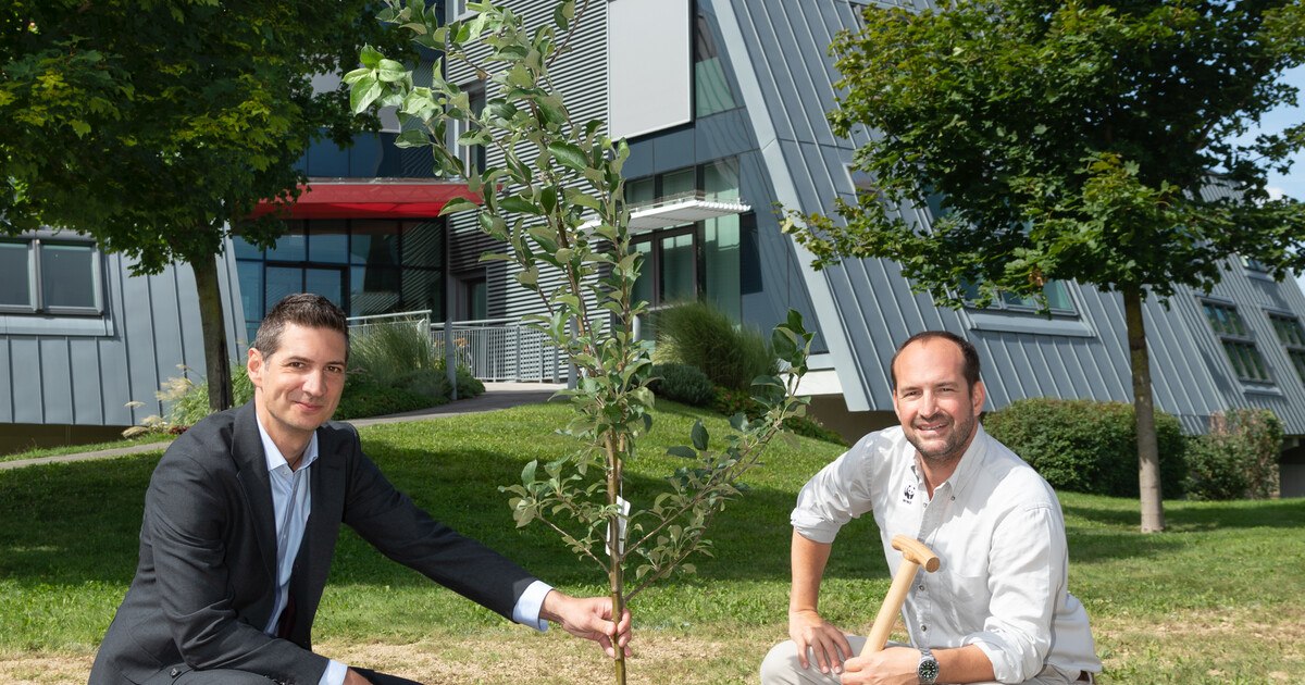 Velux wird klimaneutral