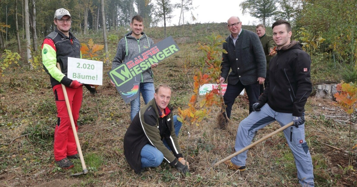 Positive Klimaschutz-Bilanz bei Malerei Wiesinger
