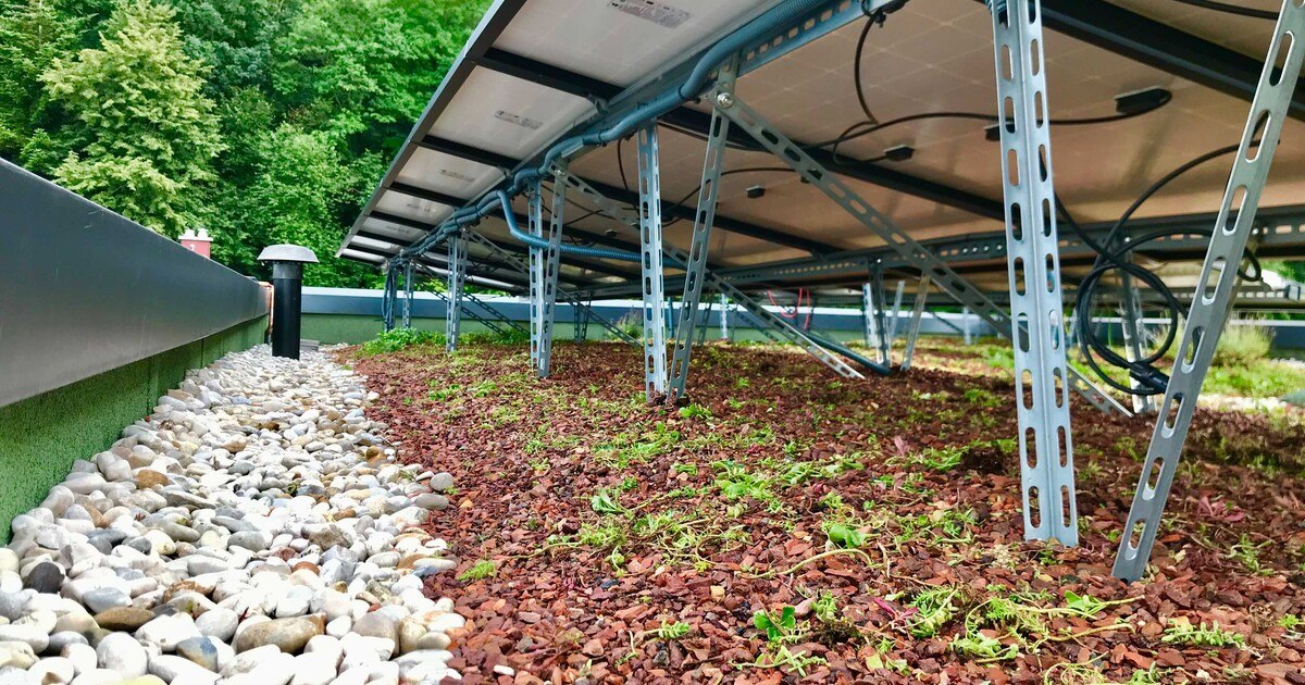 Brandschutzsicherheit bei Solargründächern