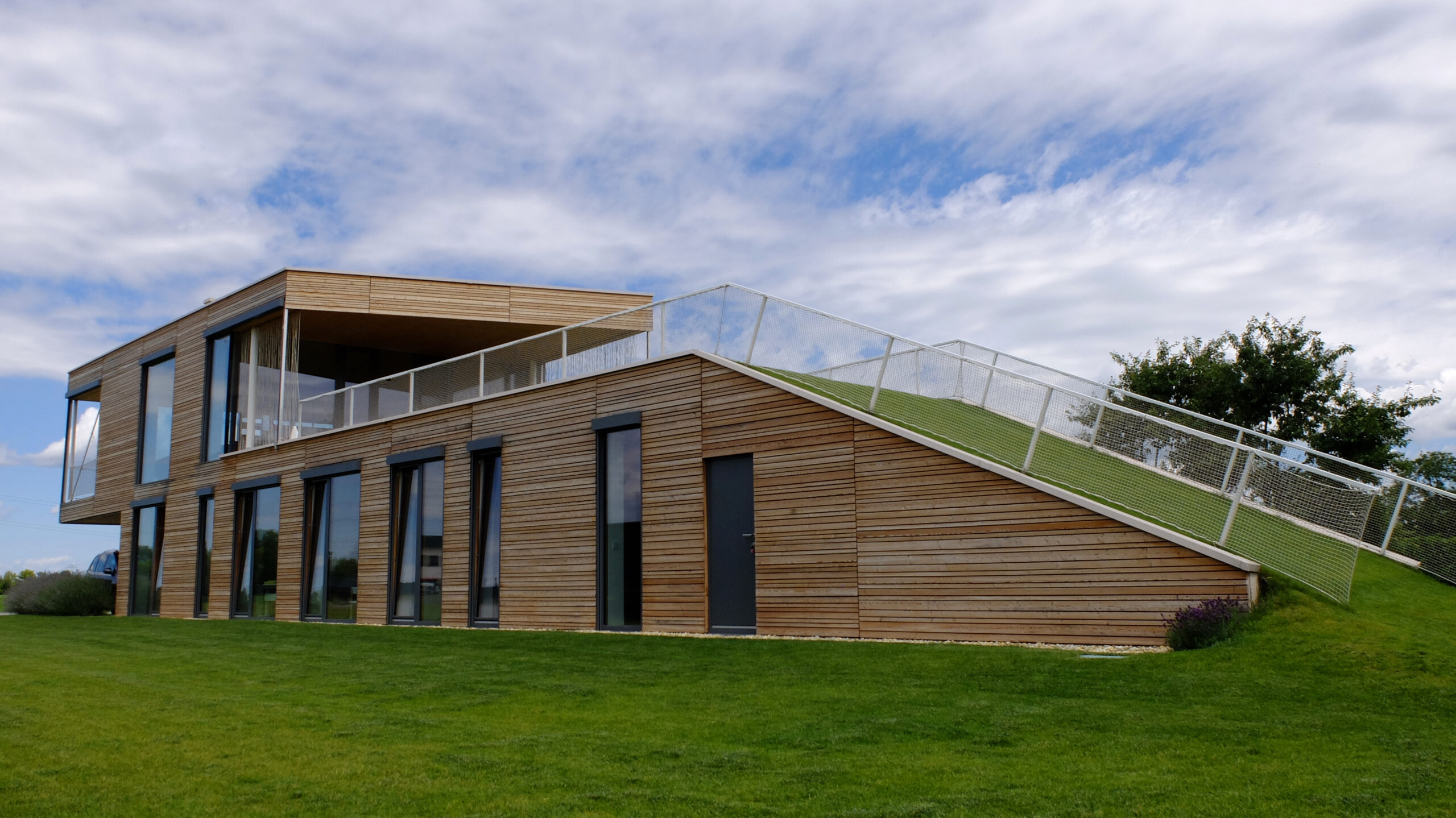 Neues Merkblatt "Dachbegrünungen auf Holzbauweise"