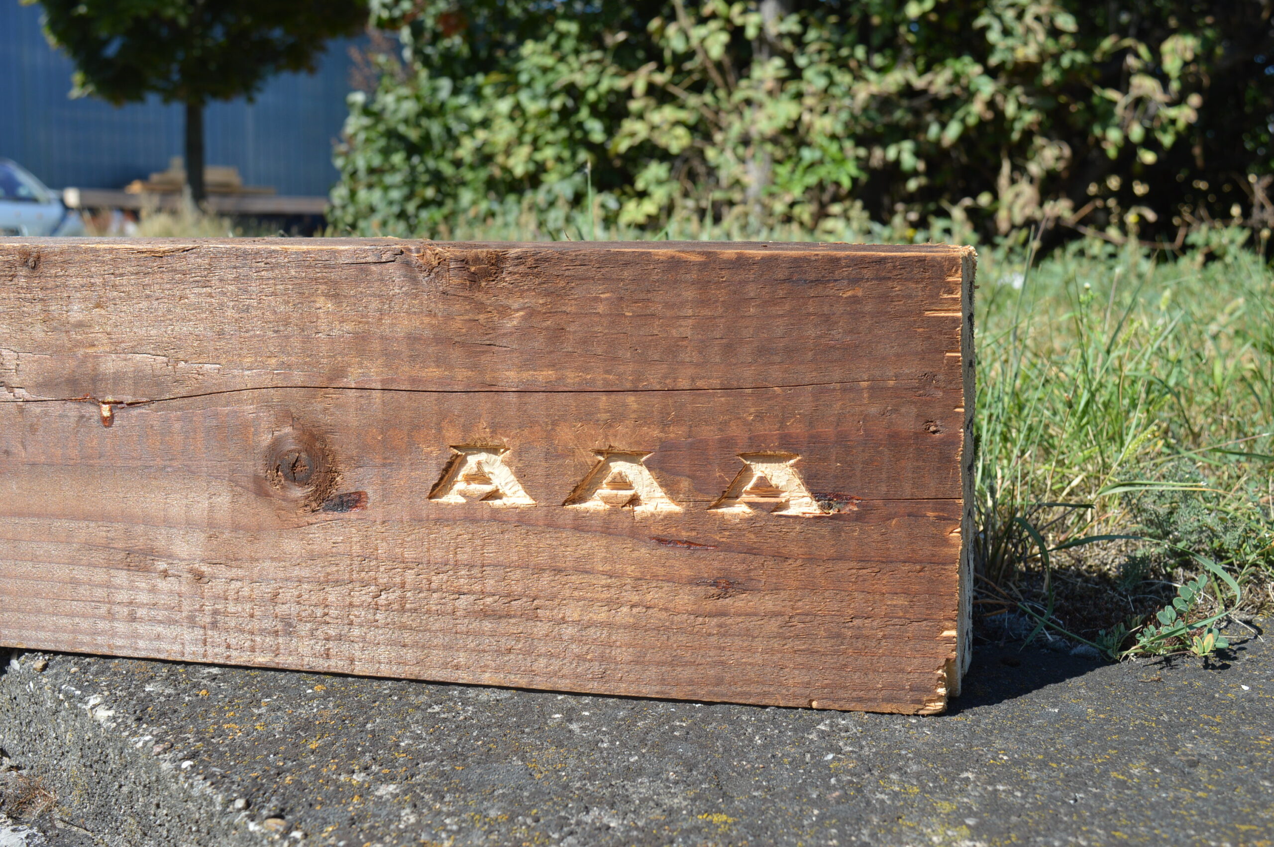 Studie "Altholz Aufkommen Austria" verfügbar