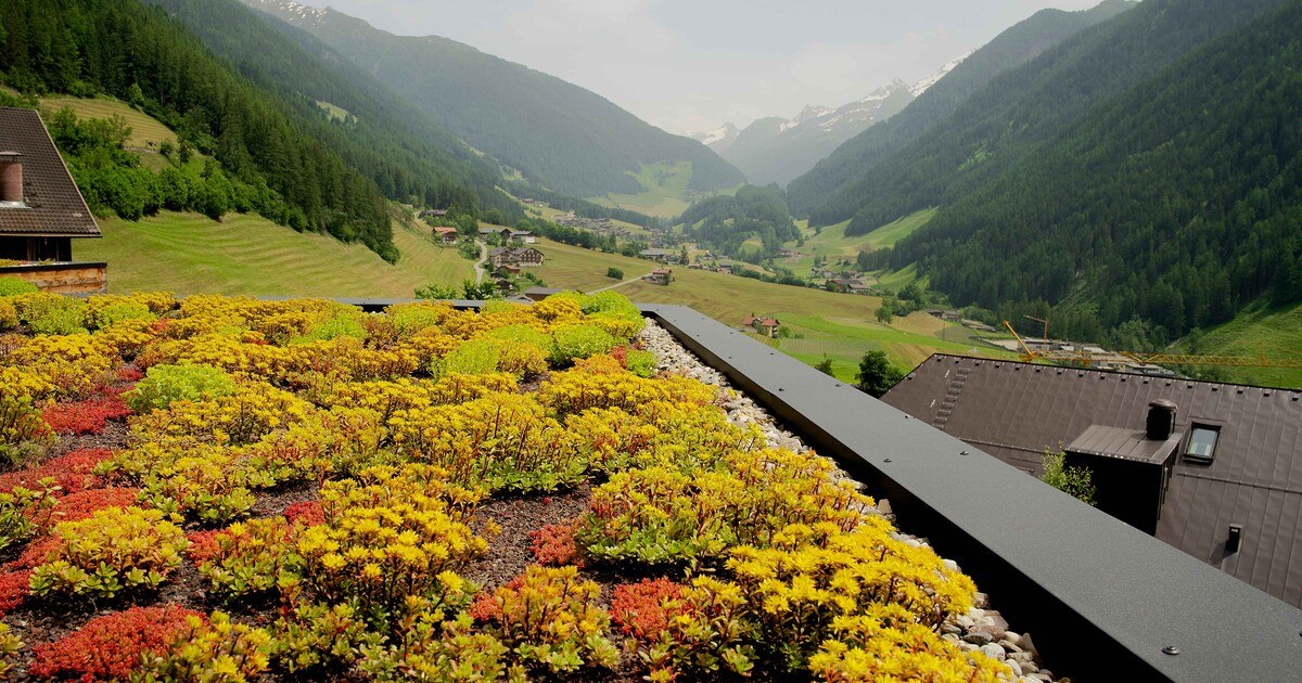 Wie grün sind Gründächer?