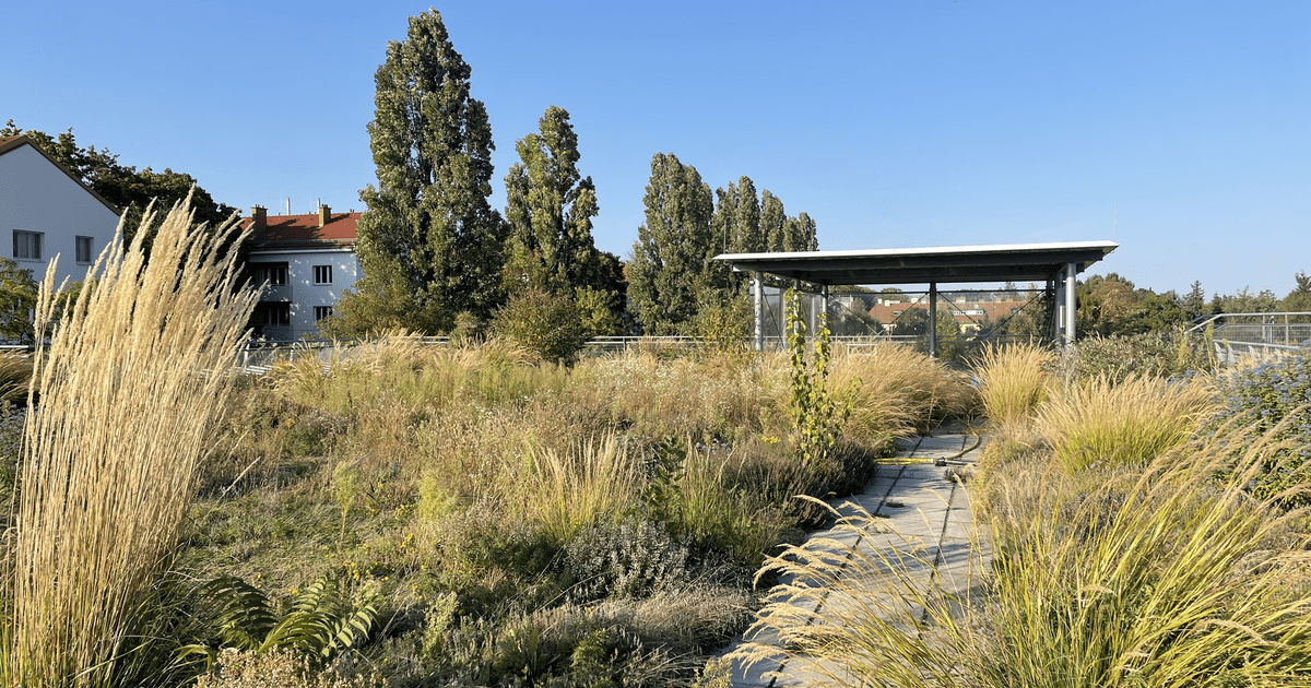 Schnittstelle Bauwerksbegrünung