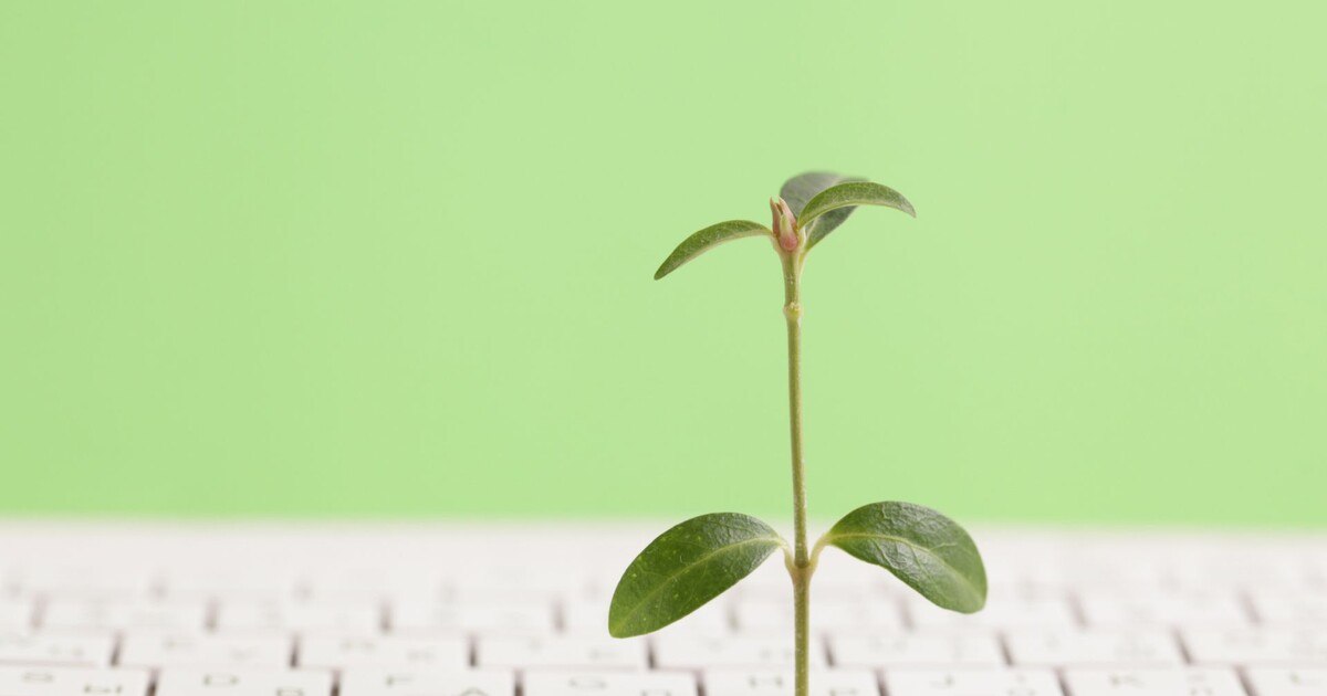 ESG: Nachhaltig Ruhe bewahren