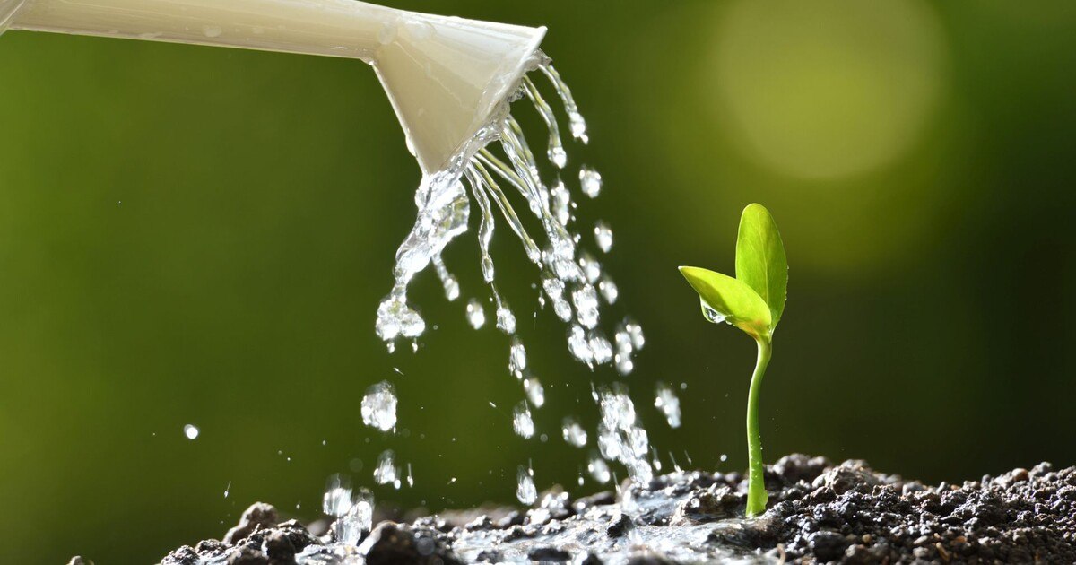 ESG-Kriterien im Vergaberecht