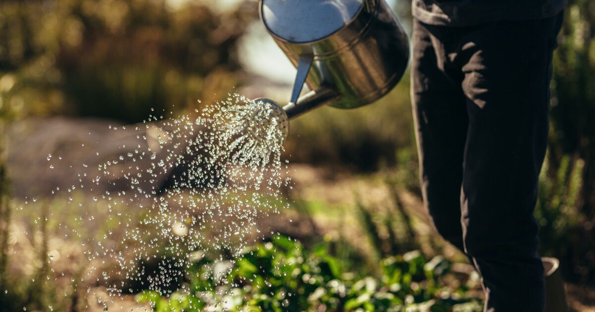 29. Juli ist "Earth Overshoot Day" 2021