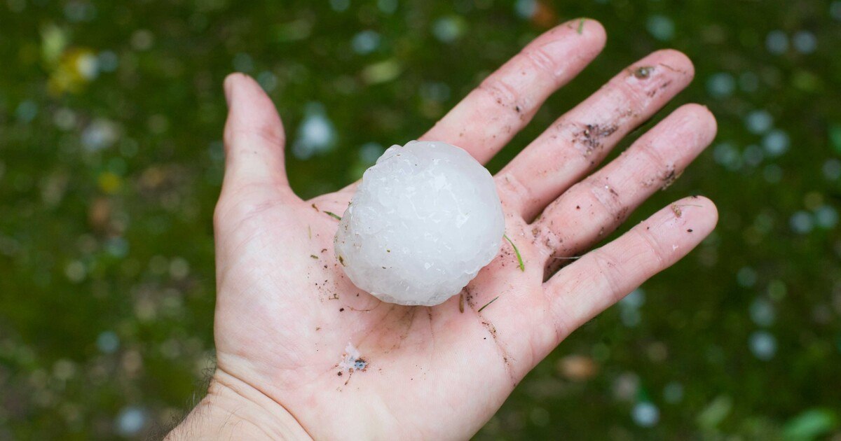 Gründächer im Hageltest