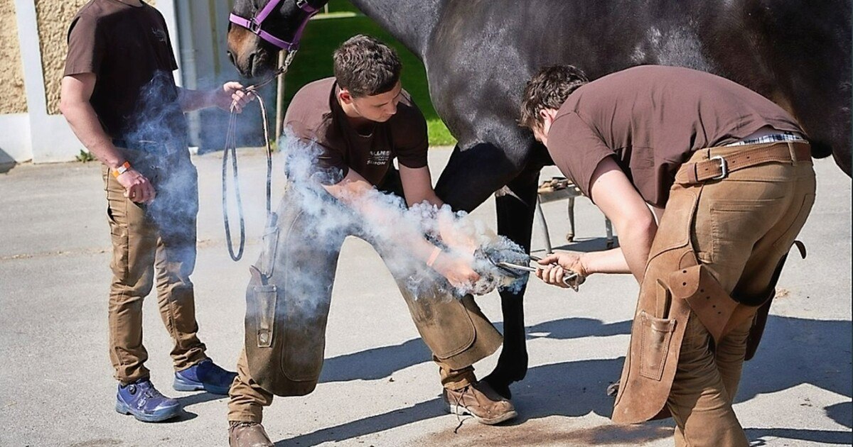 Das war das Schmiedetreffen in Stadl-Paura