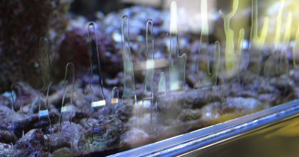 Materialunverträglichkeiten im Glasbau