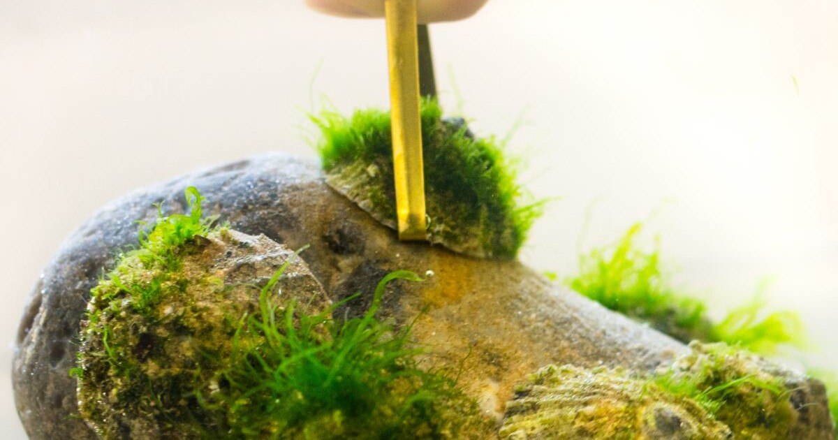 Kleber mit besonderer Flexibilität