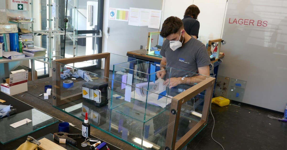 15 neue Glasermeister*innen