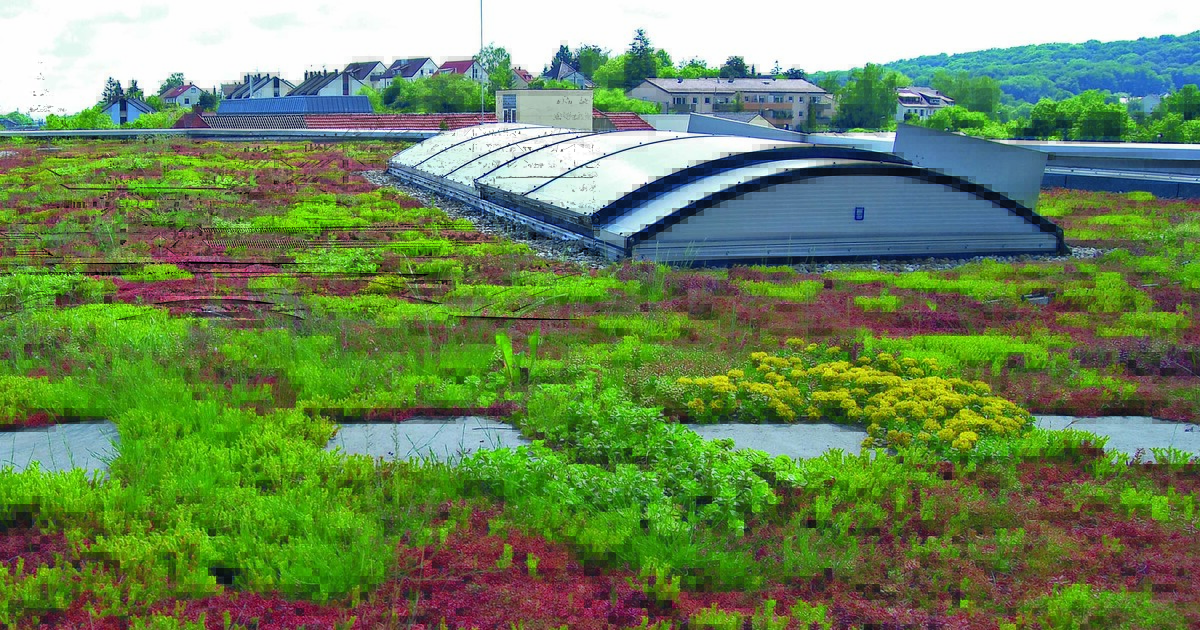 Regenwassermanagement am Flachdach