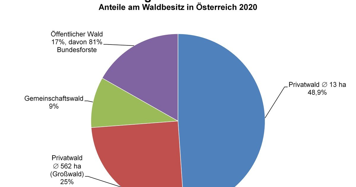 Wem gehört der Wald?