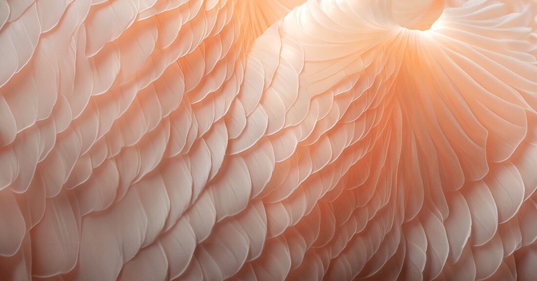 "Peach Fuzz" heißt die vom amerikanischen Pantone Color Institute ausgerufene Farbe des Jahres 2024. Kaum ist sie bekannt, treibt die Kreativwelt außergewöhnliche Blüten.