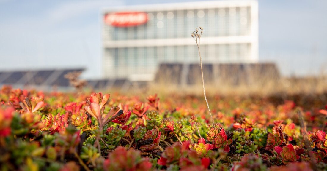 EcoVadis führt Nachhaltigkeitsratings durch. Bei der diesjährigen Bewertung holte Fronius eine Goldmedaille.