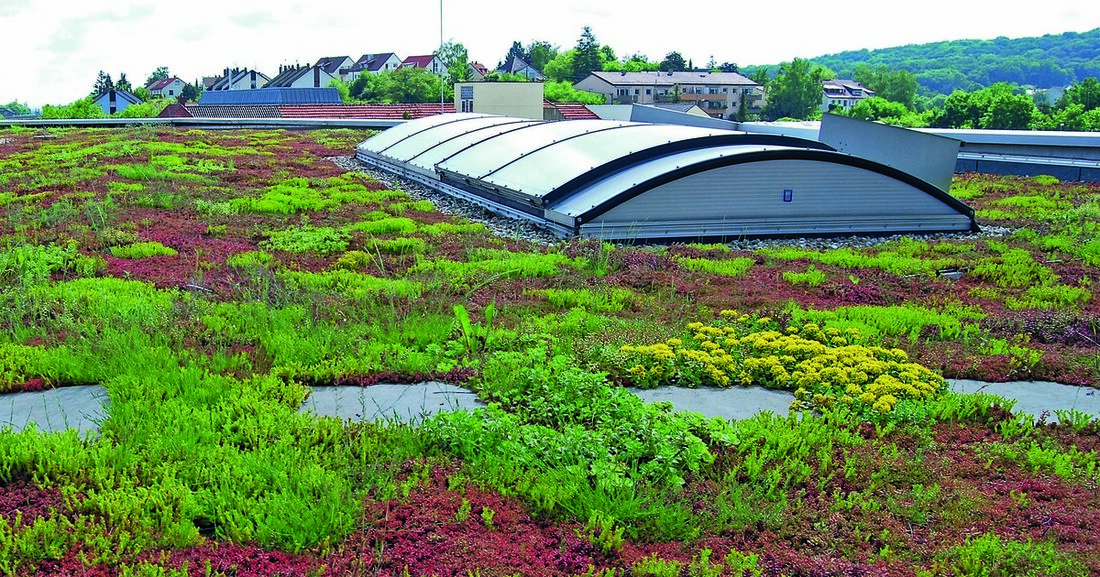 Retentionsdächer gewinnen angesichts von Klimaveränderung und Bodenverdichtung enorm an Bedeutung.