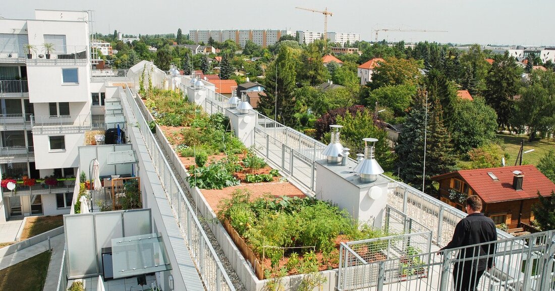 Neue Richtlinie "Hydroaktive Pflaster- und Plattenflächen" für nachhaltiges Regenwassermanagement.