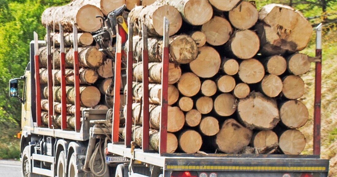 Eigentlich paradox: Obwohl in Österreich rund 3,4 Milliarden Bäume wachsen und der Staat zu den waldreichsten in Europa zählt, steigen die aus dem Ausland eingeführten Holzmengen stark.