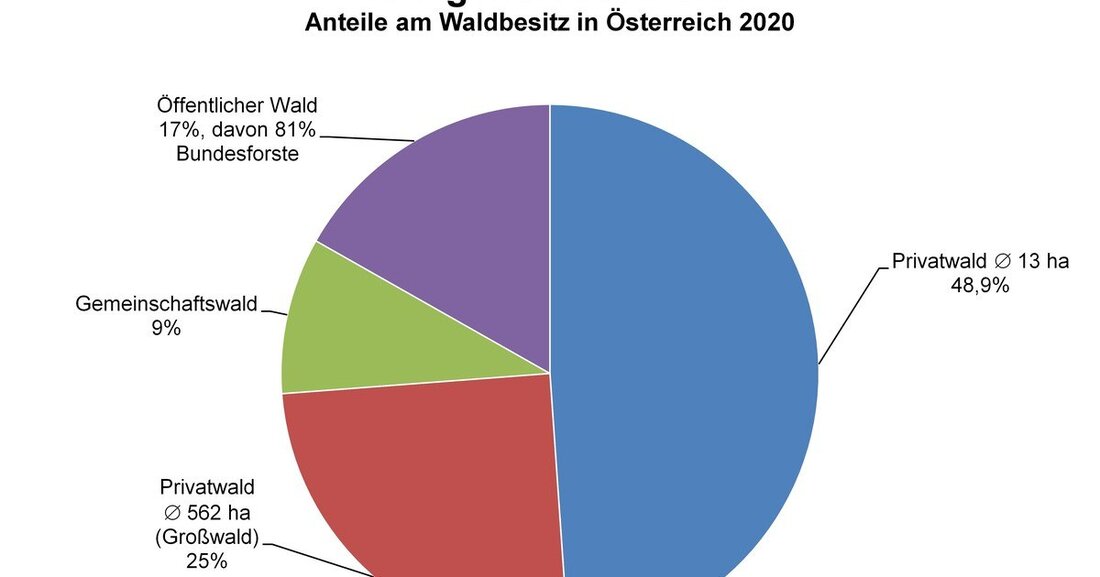 Der Waldbesitz ist in Österreich höchst ungleich verteilt, zeigt eine Bestandsanalyse von Kreutzer Fischer & Partner.