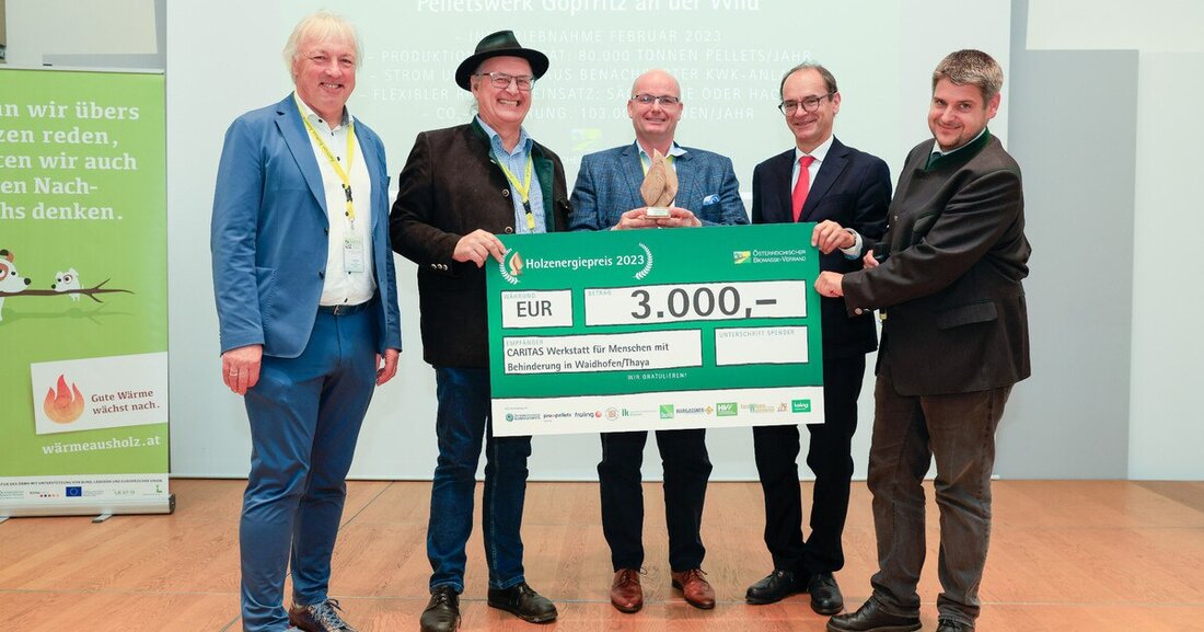 Der Österreichische Biomasse-Verband hat die besten heimischen Bioenergie-Projekte prämiert.